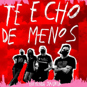 Te echo de menos