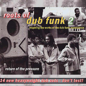 Roots Of Dub Funk 2
