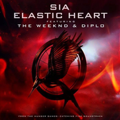 Elastic Heart (From “The Hunger Games: Catching Fire” Soundtrack)
