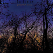 The Publik: Deeper Still