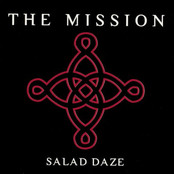Salad Daze