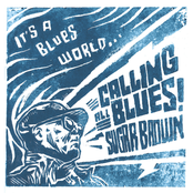 Sugar Brown: It's a Blues World (Calling All Blues)