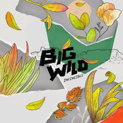 Big Wild: Invincible EP