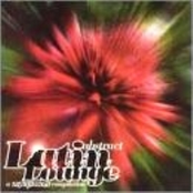 Abstract Latin Lounge