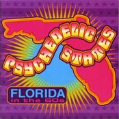 Psychedelic States: Florida in the 60s Vol 1