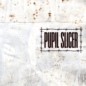 Heather/Black Scrawl