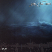 Shine by Veni Domine