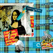 Blueberry, Very Blue II