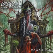 Vegan Cannibal World