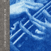 The Well-Tempered Diffusion Model