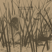 Martial Canterel: Confusing Outsides