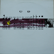 Das Ding Das Durch Den Wind Geht