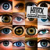 Hedex: Missing You (feat. A Little Sound)