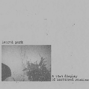 A Vast Display of Scattered Remains