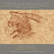 Persian Experimental Underground Survey