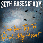 Seth Rosenbloom: Did You Try To Break My Heart