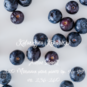 320 Morceaux pour piano op. 96-99 (no.236-260)