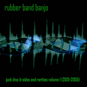 Junk DNA: B-Sides and Rarities, Vol. 1 (2001-2005)