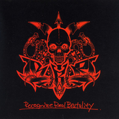 Recognize Real Brutality