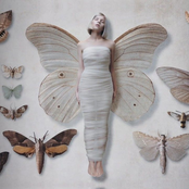 All My Demons Greeting Me As A Friend - Deluxe