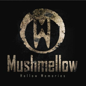 Hollow Memories (LP) 2008