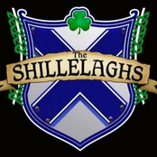 the shillelaghs