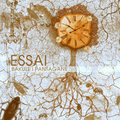 essai