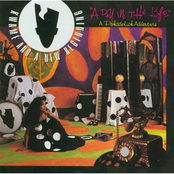 A Day in the Life: A Pokadelick Adventure