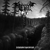 Holocaust Black Metal by Evil