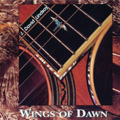 Wings of Dawn