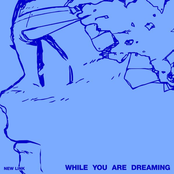 While You Are Dreaming