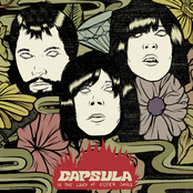 Into My Skull by Capsula