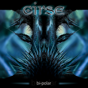 Alma De Diamante by Cirse