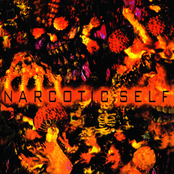 The Anti-Narcotics Movement