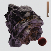 Pollutants / The Pull