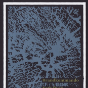 Brandkommando/Seth Ryan/Fear Konstruktor/Disgust Split