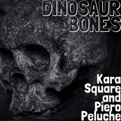 Dinosaur Bones
