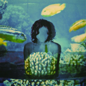 La Memoria De Los Peces - Single