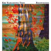 Redwoods by Eri Yamamoto Trio