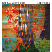 Bumpy Trail by Eri Yamamoto Trio