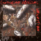 Brick Dub by Controlled Bleeding