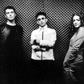 The Lightning Seeds