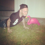 Those Clever Foxes: Something You Can't Take