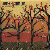 Ampere & Sinaloa Split Recording