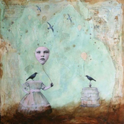 Lavola: Black Sea of Trees