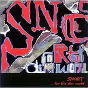 ... For The Dim World