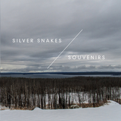 Silver Snakes: Winter Songs