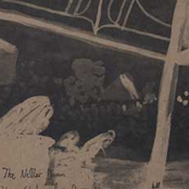 Long Shadow of a Dream