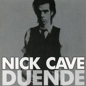 Nobody's Baby Now by Nick Cave