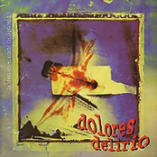 Bajo Un Envenedado Cielo Plateado